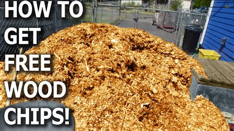 Craigslist free wood chips. Things To Know About Craigslist free wood chips. 